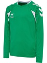 Hummel Core 2.0 Trikot Langarm grün Kinder