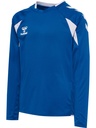 Hummel Core 2.0 Trikot Langarm blau Kinder