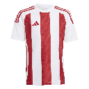 adidas Striped 24 Trikot rot-weiß Kinder 