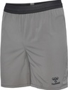 Hummel Pro Training Shorts grau 