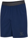 Hummel Pro Training Shorts dunkelblau 