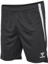 Hummel Lead 2.0 Shorts grau
