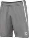 Hummel Lead 2.0 Trainingsshorts grau 
