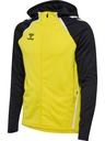 Hummel Lead 2.0 Kapuzenjacke gelb