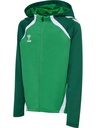 Hummel Lead 2.0 Kapuzenjacke grün Kinder