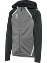 Hummel Lead 2.0 Kapuzenjacke grau Kinder