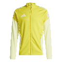 adidas Tiro 25 Competition Trainingsjacke gelb