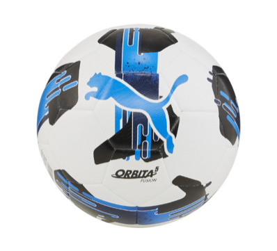 Puma 10er Ballpaket Orbita 5 Fusion Fußball Größe 5 blau