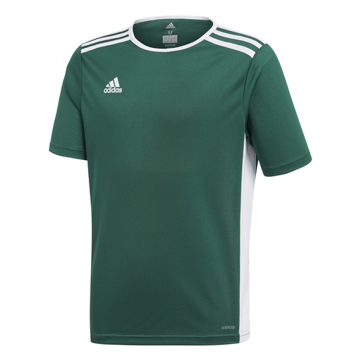 adidas Entrada 18 Trikot grün Kinder  