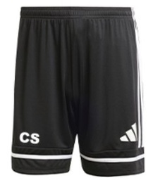 TSV Burgdorf Trainingsshorts schwarz