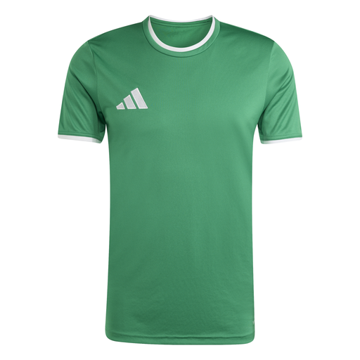 adidas Entrada 26 Trikot grün 